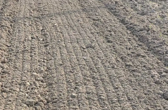 河南:科学施策 力保